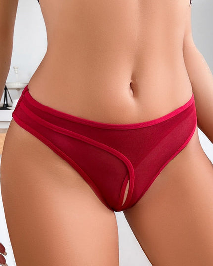 ZASUWA Femal Sexy Hollow Out Mesh Panties